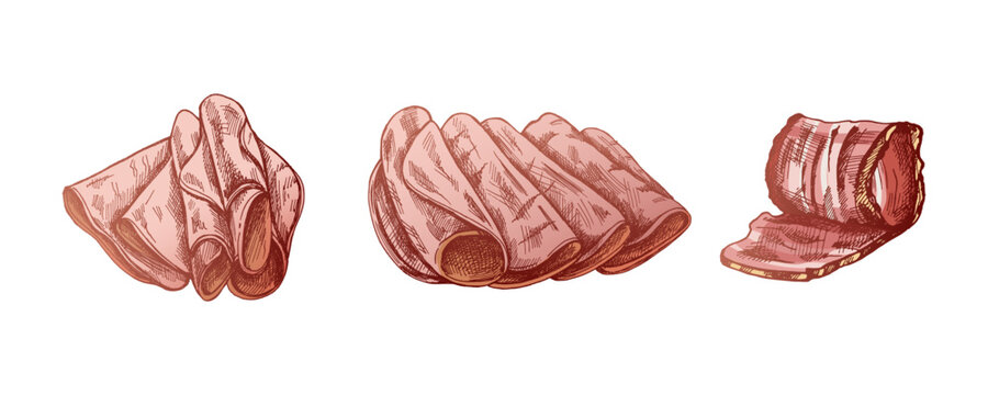 Hand-drawn colored vector sketch of  pork meat, ham slice, prosciutto vintage sketch. Butcher shop.