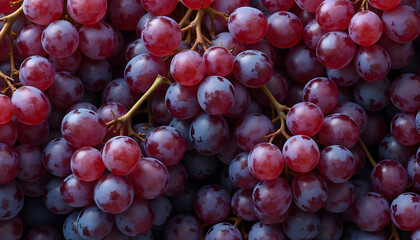 Ripe purple grape bunches for vineyard harvest and fruit imagery