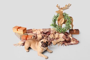 Cute pug dog with gift boxes, plaid and Christmas decorations on grey background