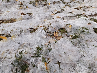 Thin cracked ice lies on dry leaves and grass. Cold snap. Frost. Beginning of winter. Background, space for text. End of autumn.