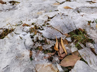 Cracked ice lies on the ground. Dry yellow leaves and green grass under a thin layer of ice. Frost. Beginning of winter, end of autumn. Background. Ice. Abstraction in nature.