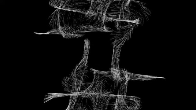 Visual animation of white particles attraction based on Rene Thomas Attractor.