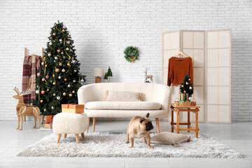Cute dog in living room on Christmas eve
