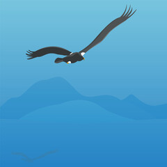 Steller's sea eagle fly. Bird vector illustration flat style	