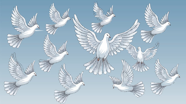 pegions sketch Hand drawn flying animals. Sign of peace and purilty. White birds flying in sky. 