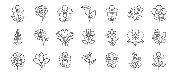 Flowers line icon set. Vector pictograms of magnolia, dandelion, crocus, calla lily, various flower species - azalea, anemone, bird paradise, thin linear illustration.