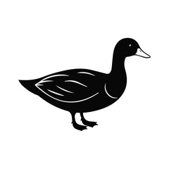 Standing Cute Duck Silhouette Images