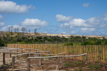 landscape with dunes on the ocean near Arcachon, France