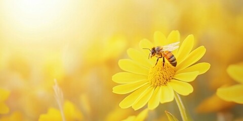 On a yellow blossom, honey bees gather pollen. Banner of untamed wild scenery.