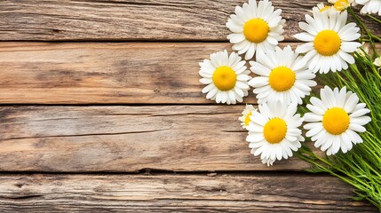 Obraz premium White Daisies on Rustic Wooden Background: Perfect for Greeting Cards, Invitations, and Floral Designs Soft Pastel Background for Graphic Design Templates