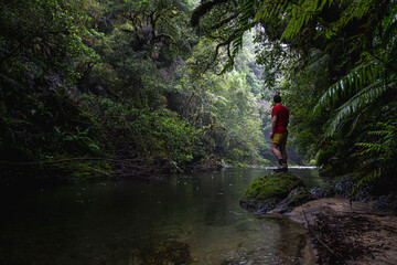 Man next to a river in a rainforest in New Zealand