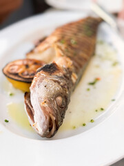 Grilled Branzino fish on a plate