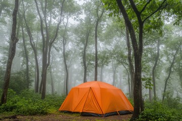 Orange Tent in Foggy Forest Camping Scene