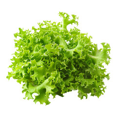 Obraz premium Fresh Green Curly Lettuce Leaves Isolated