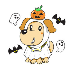 Fototapeta premium Cartoon labrador retriever dog with halloween costume for design.
