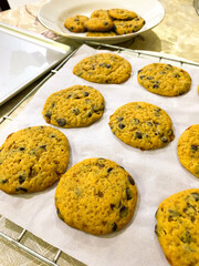 home made chocolate cookies on paper baking fresh from the oven