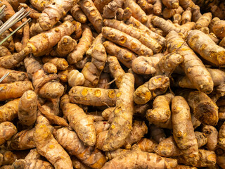 curcuma roots or kunyit in indonesian for herbal and traditional medicine. 