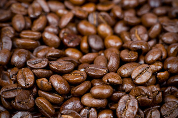 coffee beans background