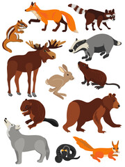 vector drawing set of forest animals, isolated at white background , cartoon style characters