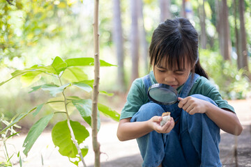 A young girl is looking at a shells with a magnifying glass