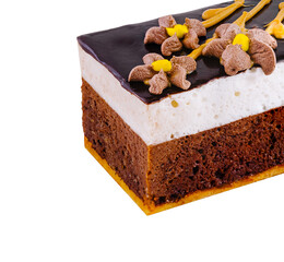Delicious chocolate cake with white cream filling and chocolate decorations