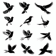 Bird icon set, black and white sparrow symbols, bird sign collection, wild animal pictograms on white
