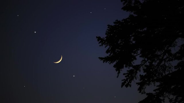 Crescent Moon, stars, planet conjunction and landscape scenery silhouettes.