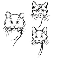 Silhouette Cat Illustration