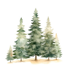 Fototapeta premium Watercolor Evergreen Forest Scene