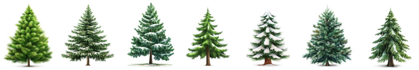 Fototapeta premium Stylish Scandinavian Christmas tree collection showcasing various pine styles and textures during the festive season