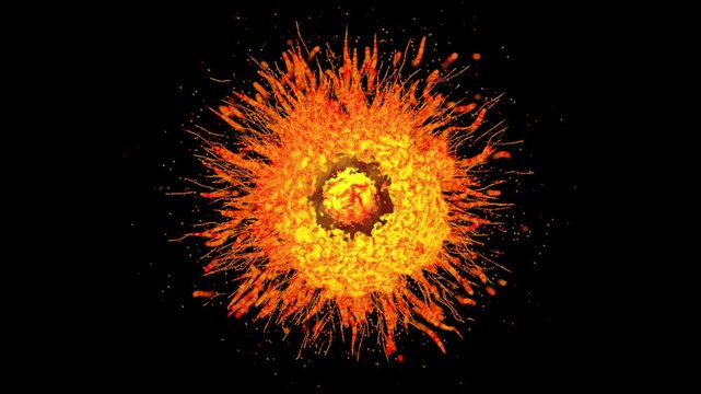 magma flower fire explosion on black