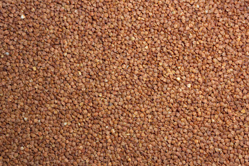 Dry Uncooked Brown Buckwheat Groats Background - Top View, Flat Lay. Raw Large Buckwheat Grains. Russian, Ukrainian and Belarusian Culture
