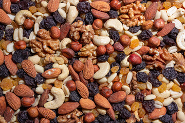 Mixed Nuts: Almonds, Walnuts, Cashews, Peanuts, Hazelnuts, Dried Prunes and Raisins. Different Nut Mix. Background from Various Nuts and Dried Fruits