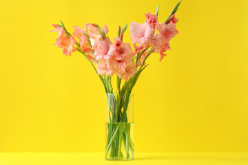 Glass vase with bouquet of beautiful gladiolus flowers on yellow background