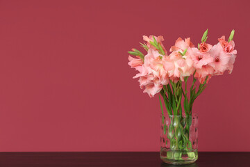 Glass vase with bouquet of beautiful gladiolus flowers on table against pink background