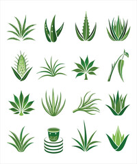 Fototapeta premium cannabis leaves of set
