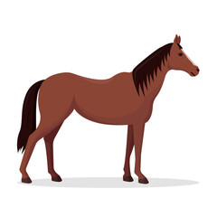 Horse icon on white background. Vector illustration.