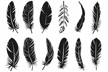 Feather icon, animal feathers isolated, black plume symbol, minimal plume silhouette on white