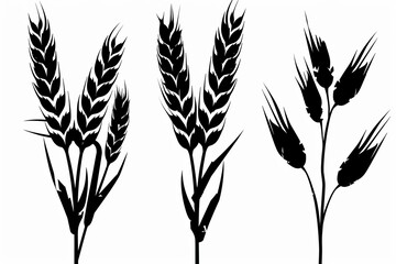 Wheat icon, rye ears sign, barley emblem, oats, cereals symbol, wheat ear, seeds, corns set