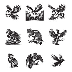 Obraz premium Collection of Harpy eagle Silhouette Design - Harpy eagle Vector illustration in black and white 
