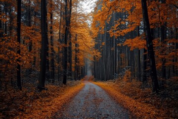 Tranquil autumn forest path with tall colorful trees, fallen leaves, and serene lighting under overcast sky.