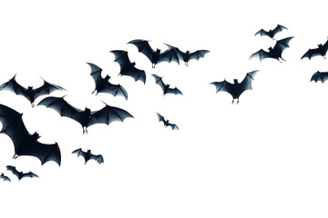 silhouette of a flock of bats