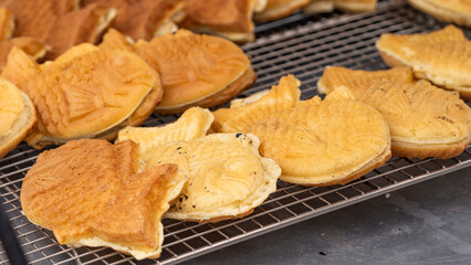 Fish-shaped Japanese pastries, known as Taiyaki, cooling on a wire rack. These popular street food snacks are often filled with sweet or savory fillings.