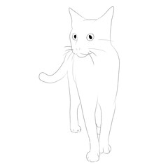猫　線画