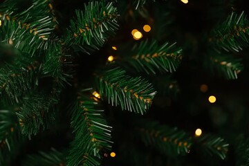 Frost-covered pine branches with glowing warm lights on a dark background.