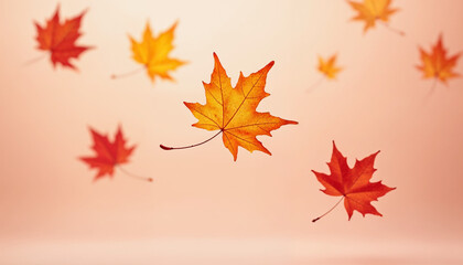Fototapeta premium Red and yellow leaves against a orange sky bokeh effect