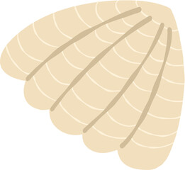 Cute hand drawn sea shell vector