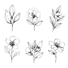 Artistic Hand-Drawn Ornamental and Wildflower Designs