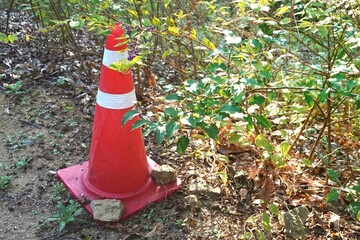 Orange traffic cone Laying on the background of green bushes. Traffic Cone on Construction site.