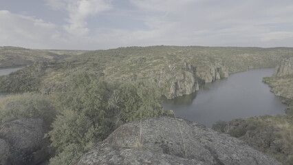 Panoramic view of Duero River canyon with rocky cliffs and forests